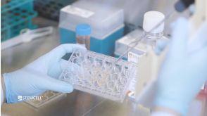 How to Model the Human Airway at the Air-Liquid Interface: Differentiation of HBECs