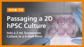 Passaging a 2D hPSC Culture into a 2 mL Suspension Culture in a 6-Well Plate
