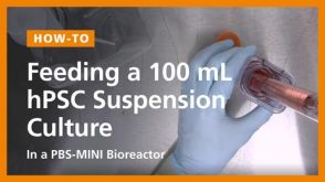 Feeding a 100mL hPSC Suspension Culture in a PBS-Mini Bioreactor