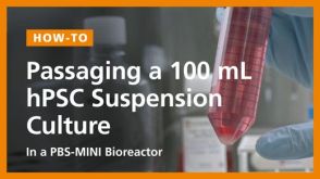 Passaging a 100mL hPSC Suspension Culture in a PBS-Mini Bioreactor