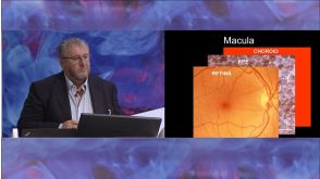 Retinal Cell Therapy Using Human Embryonic Stem Cells