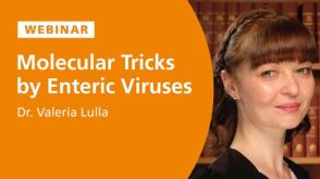 Molecular Tricks of Neurotropic Intestinal Viruses