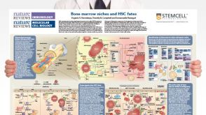 Bone Marrow Niches and HSC Fates