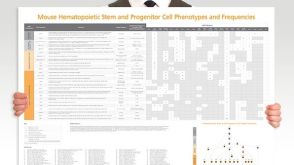 Mouse Hematopoietic Stem and Progenitor Cell Phenotyping