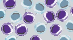 Fast and Versatile Isolation of Distinct Human Regulatory T Cell Subsets