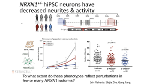 Using hiPSCs to Study Genetic Variants Linked to Schizophrenia