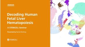 STEMCELL Seminar: Decoding Human Fetal Liver Hematopoiesis