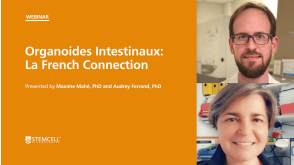 Organoïdes Intestinaux: la French connection