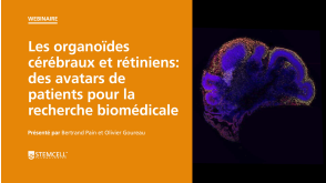 Les Organoïdes Cérébraux et Rétiniens: des Avatars de Patients Pour la Recherche Biomédicale
