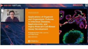 ISSCR Innovation Showcase: Applications of Organoid and Organotypic Cultures in Infectious Diseases, Nephrotoxicity, and Highly Relevant Cell-Based Assay