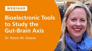 Elucidating Parechovirus A Pathogenesis Using Organoid Models