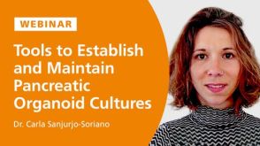 Tools to Establish and Maintain Pancreatic Organoid Cultures