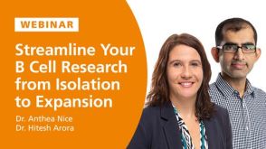 Streamline Your B Cell Research from Isolation to Expansion