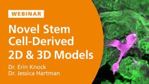 Novel Methods for the Development of Stem Cell-Derived 2D and 3D Models