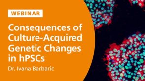 Consequences of Culture-Acquired Genetic Changes in Human Pluripotent Stem Cells