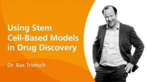Using Stem Cell-Based Models in Drug Discovery