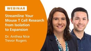 Streamline Your Mouse T Cell Research from Isolation to Expansion
