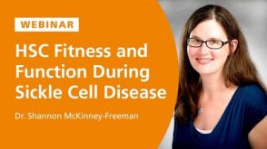 Hematopoietic Stem Cell Fitness and Function During Sickle Cell Disease