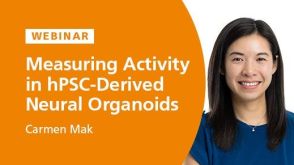 Measuring Activity in hPSC-Derived Neural Organoids