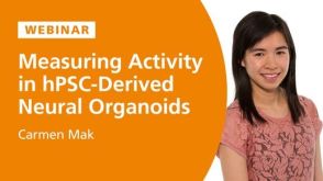 Measuring Activity in hPSC-Derived Neural Organoids