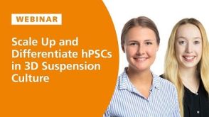 How to Scale Up and Differentiate hPSCs in 3D Suspension Culture