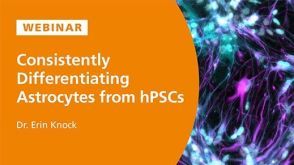 Consistently Differentiating Astrocytes from Human Pluripotent Stem Cells