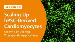 Scaling-Up hPSC-Derived Cardiomyocytes for Preclinical and Therapeutic Applications