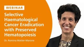 Selective Haematological Cancer Eradication with Shielded HSPCs