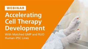 Matched GMP and RUO Human iPSC Lines