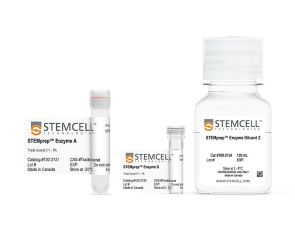 STEMprep™ Mouse Brain Dissociation Kit