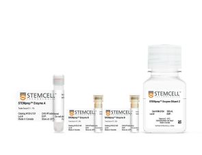 STEMprep™ Mouse Lung Dissociation Kit