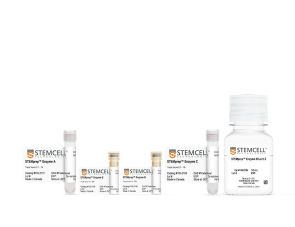 STEMprep™ Mouse Tumor Dissociation Kit