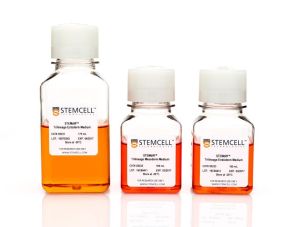 STEMdiff™ 三胚层分化试剂盒