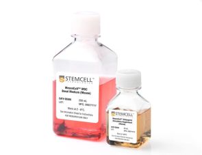 MesenCult™ 成骨刺激试剂盒（小鼠）
