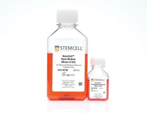 NeuroCult™ 分化试剂盒（小鼠和大鼠）