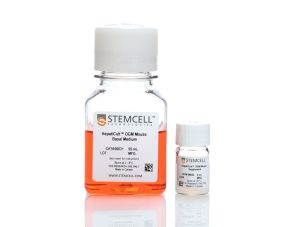 HepatiCult™ 类器官生长培养基 (小鼠)
