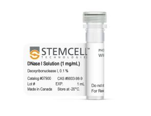 DNase I 溶液（1 mg/mL）