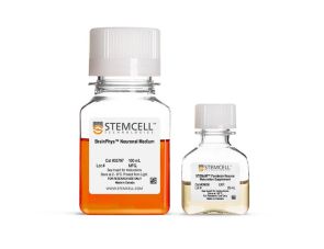 STEMdiff™ 前脑神经元成熟试剂盒