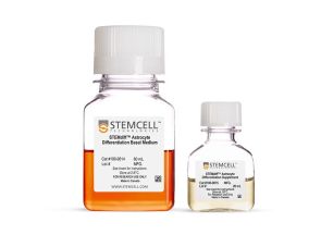 STEMdiff™ 星形胶质细胞分化试剂盒