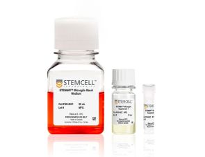 STEMdiff™ 小胶质细胞分化试剂盒