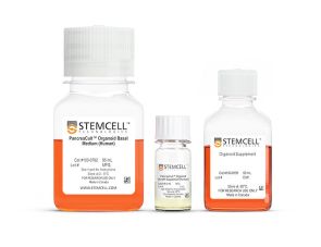 PancreaCult™ 类器官生长培养基 (人)