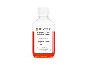 STEMdiff™-XF RPE 成熟培养基