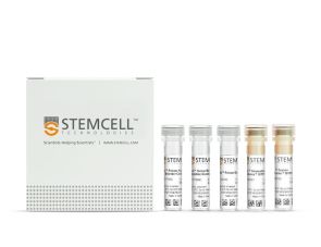 EasySep™人中央和效应记忆CD8+ T细胞分选试剂盒