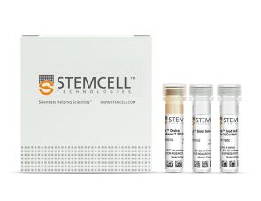 EasySep™ 死细胞去除 (Annexin V) 试剂盒