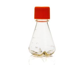 Corning®一次性锥形瓶，125 mL