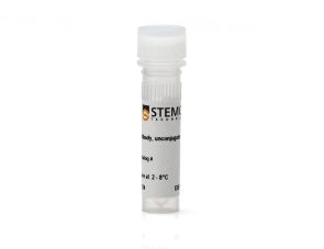 抗人CD43 抗体，克隆CD43-10G7