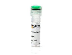 重组小鼠 EGF