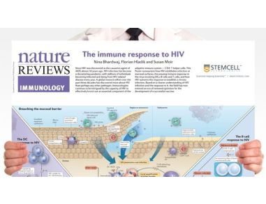 The Immune Response to HIV Poster