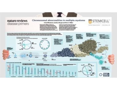 Chromosomal Abnormalities in Multiple Myeloma