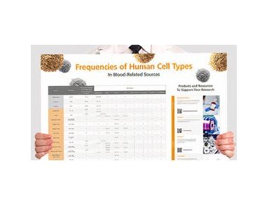 Frequencies of Human Cell Types in Blood-Related Sources
